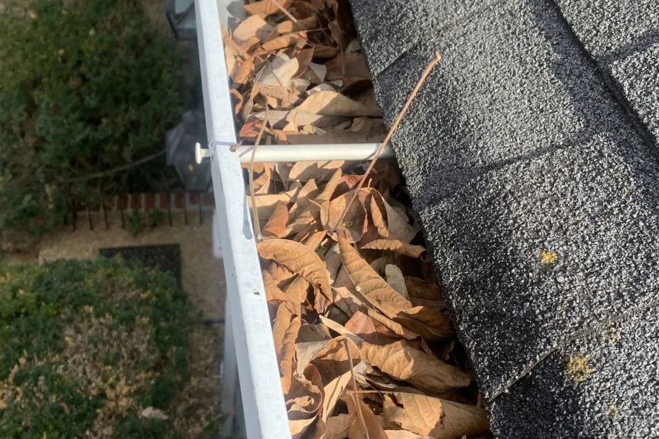 Gutter Cleaning Garden Ridge TX