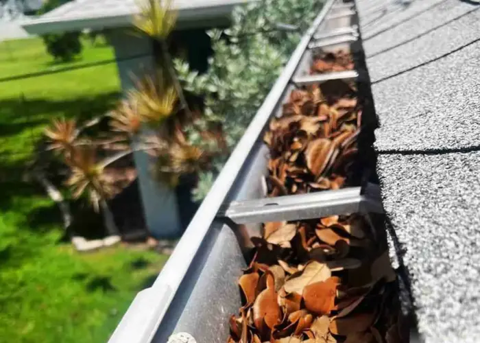 Gutter Cleaning Garden Ridge TX home page